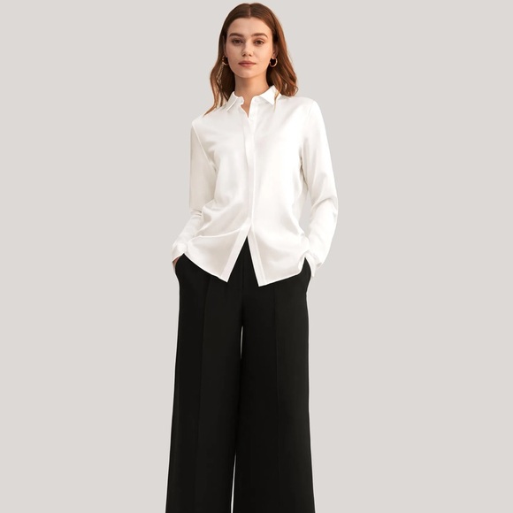 Lily Silk Basic Concealed Placket Women Silk Shirt - Picture 3 of 10